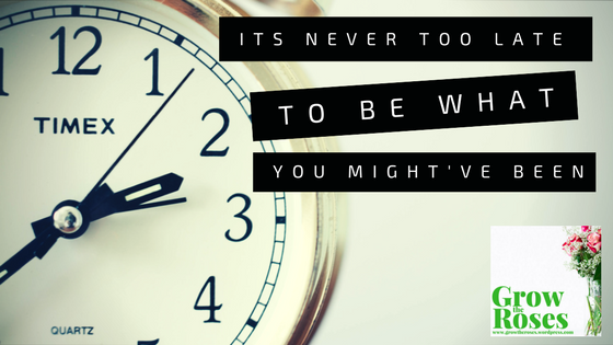 Its Never Too Late to Be What You Might’ve Been